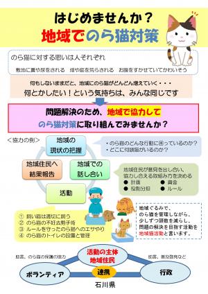 野良猫_1