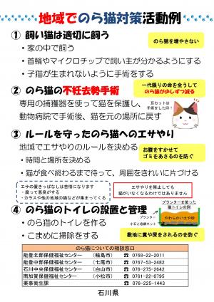 野良猫_2