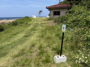 風と波