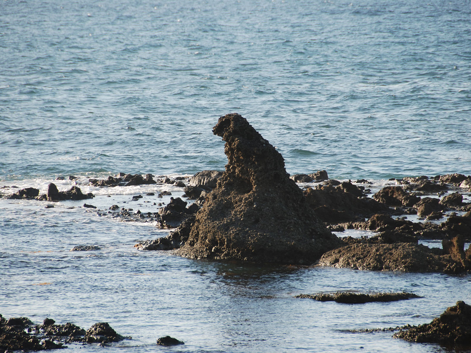 海から出没ゴジラ岩の画像
