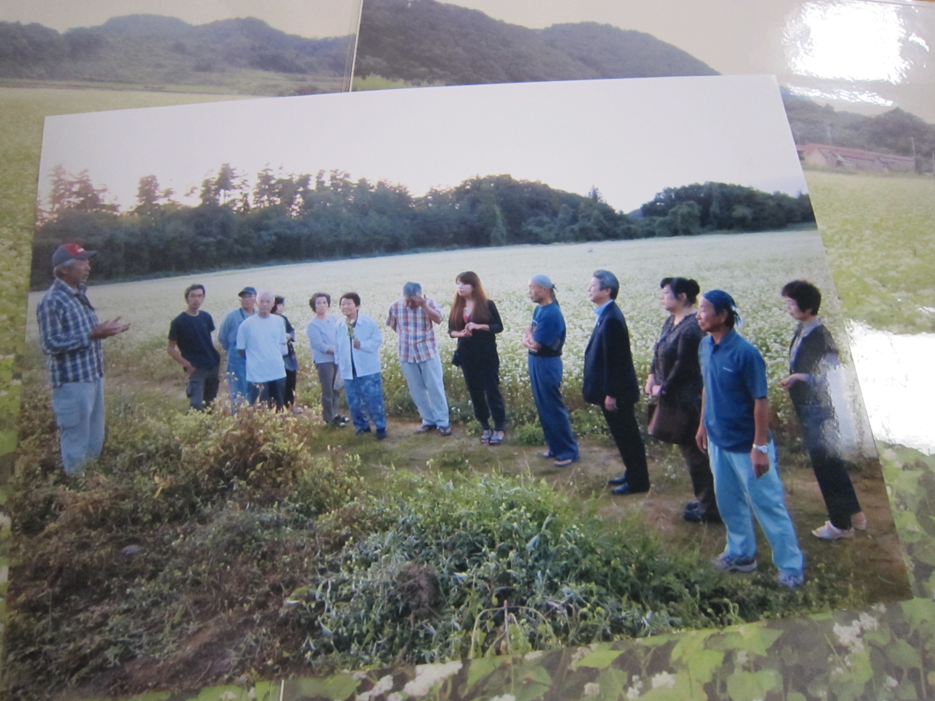 そばの実栽培と地域振興（狼煙町　横山振興会）の画像2