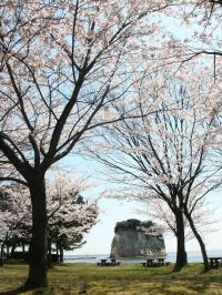 見附島と桜