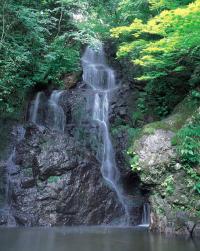 曽ノ坊の滝
