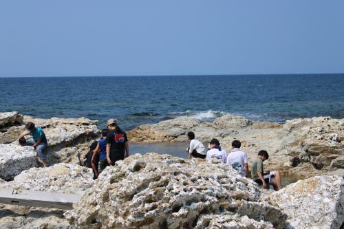 大谷小中学校活動